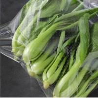 Opp Pouch Vegetable Low Price + Quantity Malaysia