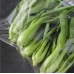 Opp Pouch Vegetable Low Price + Quantity Malaysia Opp Pouch Vegetable Low Price + Quantity Malaysia